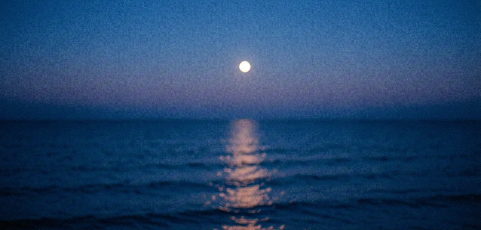 Horizont des Wissens